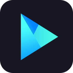 Vidmore Participant 1.0.28 macOS